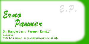 erno pammer business card